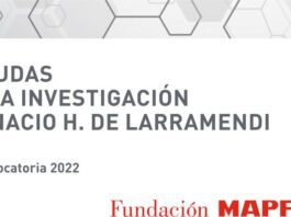 Convocatoria "Ayudas a la investigación de Ignacio H. de Larramendi"