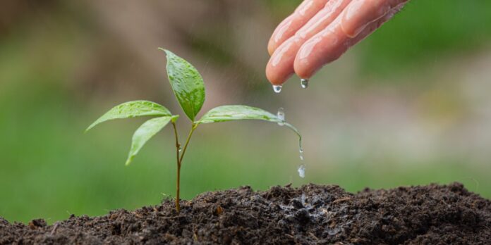 Día Mundial del Medio Ambiente Kilimo lidera la transformación hacia el cuidado del agua en la agricultura