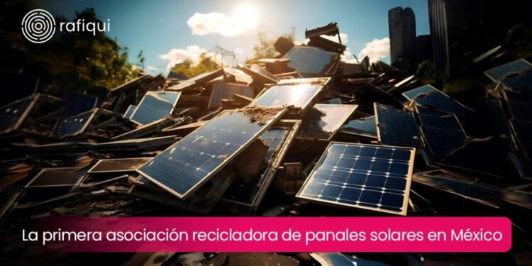 Nace Rafiqui, primera recicladora de paneles solares en México