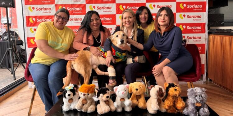 Soriana, Milagros Caninos y Purina se unen al rescate de perros y gatos