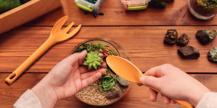 Cosechar en el jardín de la casa es posible y terapéutico ¿qué herramientas necesitas?