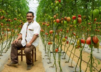 Cuidar el suelo: una práctica cotidiana que sostiene la vida