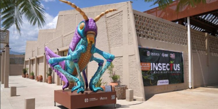 Anuncia DIF Oaxaca tercera edición de VeraNiñez para diversión de las infancias y adolescencias