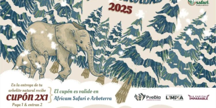 Dona tu árbol y gánate una entrada a Africam Safari