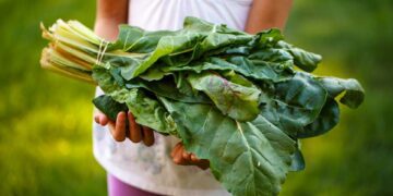 Día del Niño: 3 formas de enseñar a los pequeños a no desperdiciar alimentos en casa