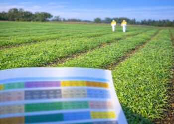 Los emprendimientos en México impulsan la economía del país: representan el 99.2% de las unidades económicas