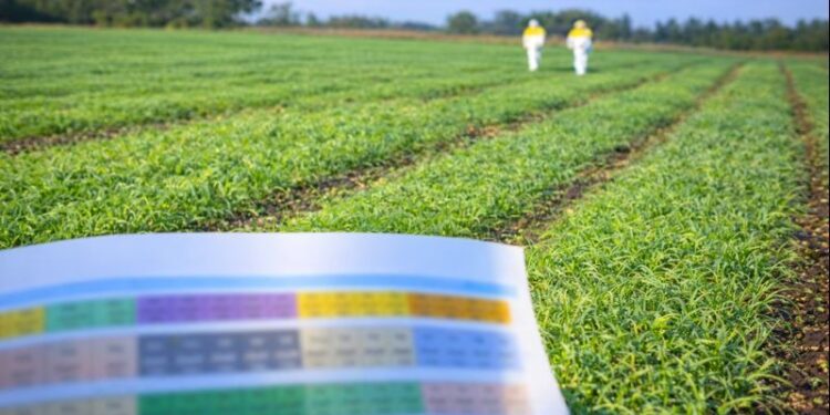 Los emprendimientos en México impulsan la economía del país: representan el 99.2% de las unidades económicas