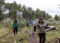 Up Sí Vale y empresas aliadas plantan 1,100 árboles en el Bosque de Pino y Encino para contribuir a la restauración de dos hectáreas