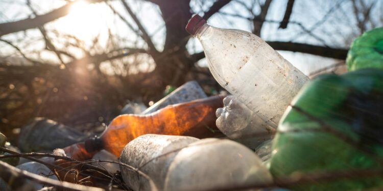 Mexicanos generan casi 2 kilos de basura al día: cómo aplicar la economía circular desde casa