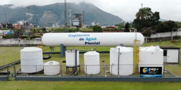 Antes de llegar a nuestra mesa, todo comienza con el agua